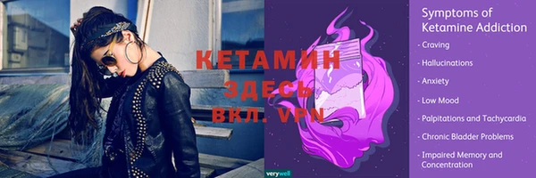 a pvp Абаза